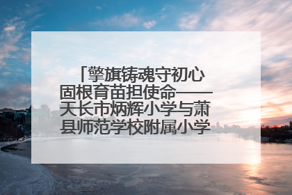 擎旗铸魂守初心 固根育苗担使命——天长市炳辉小学与萧县师范学校附属小学结对共建活动纪实