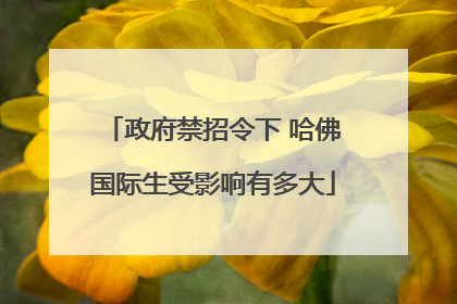 政府禁招令下 哈佛国际生受影响有多大