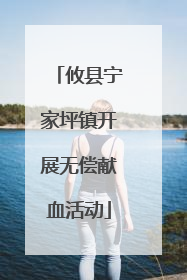 攸县宁家坪镇开展无偿献血活动