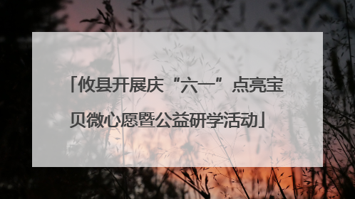 攸县开展庆“六一”点亮宝贝微心愿暨公益研学活动