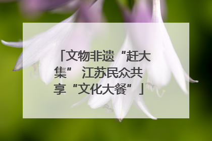 文物非遗“赶大集” 江苏民众共享“文化大餐”