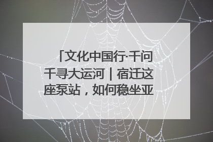 文化中国行·千问千寻大运河｜宿迁这座泵站，如何稳坐亚洲第一宝座？