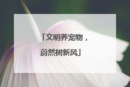 文明养宠物，蔚然树新风