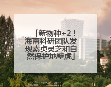 新物种+2！海南科研团队发现素贞灵芝和自然保护地壁虎