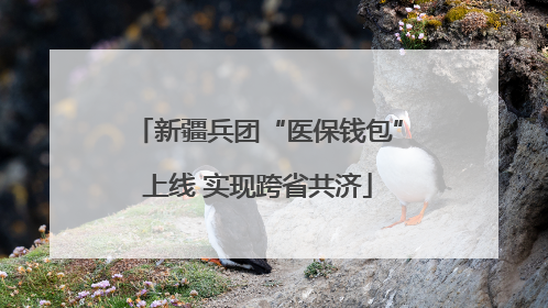 新疆兵团“医保钱包”上线 实现跨省共济