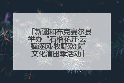 新疆和布克赛尔县举办“石榴花开·云骥逐风·牧野欢歌”文化演出季活动