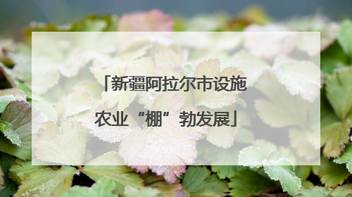 新疆阿拉尔市设施农业“棚”勃发展