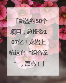 新签约50个项目，总投资107亿！龙岩上杭这套“组合拳”，漂亮！
