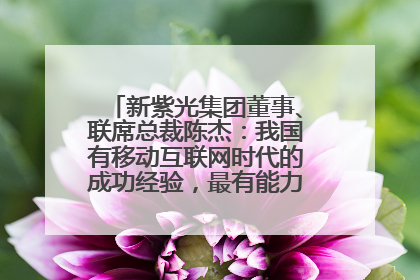 新紫光集团董事、联席总裁陈杰：我国有移动互联网时代的成功经验，最有能力做好AI应用创新