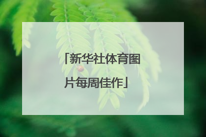 新华社体育图片每周佳作