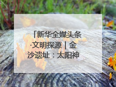 新华全媒头条·文明探源｜金沙遗址：太阳神鸟起飞的地方