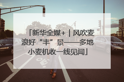 新华全媒+｜风吹麦浪好“丰”景——多地小麦机收一线见闻