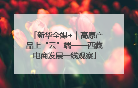 新华全媒+｜高原产品上“云”端——西藏电商发展一线观察