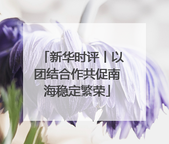 新华时评丨以团结合作共促南海稳定繁荣