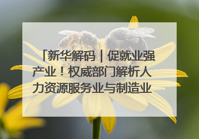 新华解码｜促就业强产业！权威部门解析人力资源服务业与制造业融合发展试点