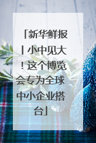 新华鲜报丨小中见大！这个博览会专为全球中小企业搭台