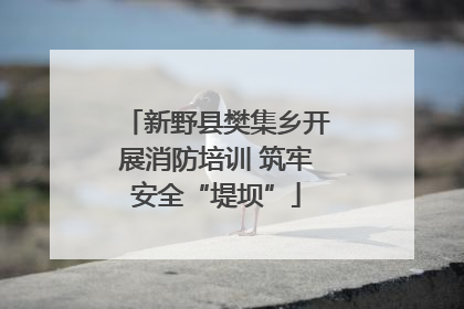 新野县樊集乡开展消防培训 筑牢安全“堤坝”