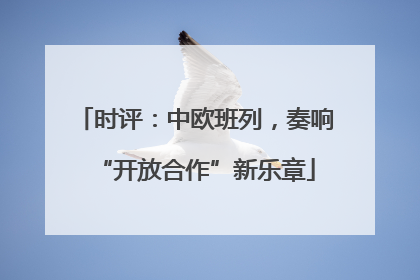 时评：中欧班列，奏响“开放合作”新乐章