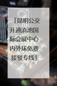 昆明公交开通滇池国际会展中心内外环免费接驳专线