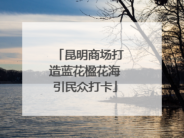 昆明商场打造蓝花楹花海引民众打卡