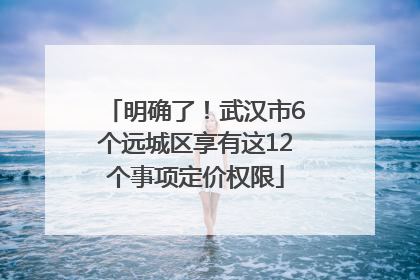 明确了！武汉市6个远城区享有这12个事项定价权限