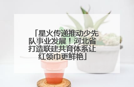星火传递推动少先队事业发展！河北省打造联建共育体系让红领巾更鲜艳