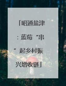 昭通盐津：蓝莓“串”起乡村振兴增收链