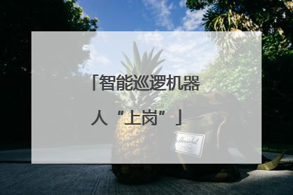 智能巡逻机器人“上岗”