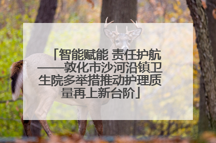智能赋能 责任护航——敦化市沙河沿镇卫生院多举措推动护理质量再上新台阶