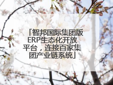 智邦国际集团版ERP生态化开放平台，连接百家集团产业链系统