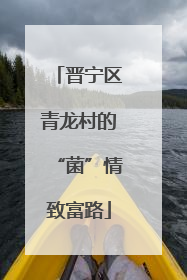 晋宁区青龙村的“菌”情致富路