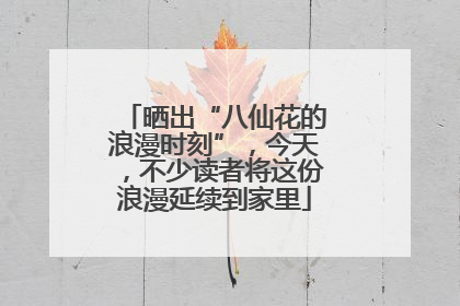 晒出“八仙花的浪漫时刻”，今天，不少读者将这份浪漫延续到家里