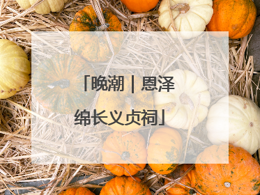 晚潮｜恩泽绵长义贞祠