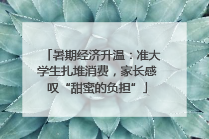 暑期经济升温：准大学生扎堆消费，家长感叹“甜蜜的负担”