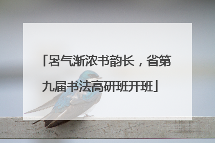 暑气渐浓书韵长，省第九届书法高研班开班