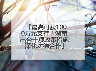 最高可获1000万元支持！湖南出台十项政策措施深化对德合作