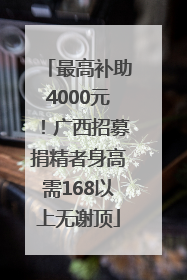 最高补助4000元！广西招募捐精者身高需168以上无谢顶