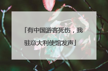 有中国游客死伤，我驻意大利使馆发声