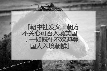 朝中社发文：朝方不关心可否入境美国，一如既往不欢迎美国人入境朝鲜