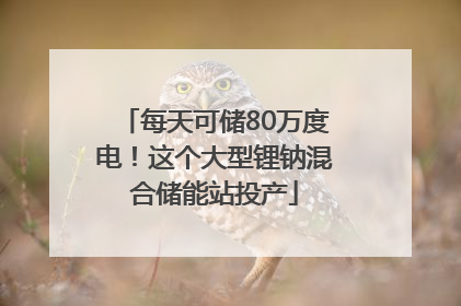 每天可储80万度电！这个大型锂钠混合储能站投产