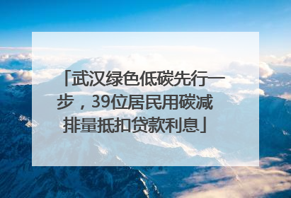 武汉绿色低碳先行一步，39位居民用碳减排量抵扣贷款利息