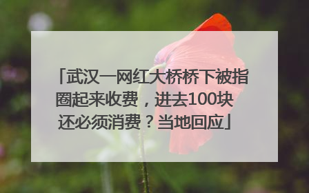 武汉一网红大桥桥下被指圈起来收费，进去100块还必须消费？当地回应
