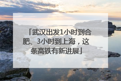 武汉出发1小时到合肥、3小时到上海，这条高铁有新进展