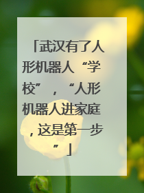 武汉有了人形机器人“学校”，“人形机器人进家庭，这是第一步”