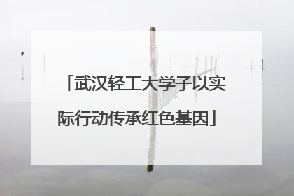 武汉轻工大学子以实际行动传承红色基因