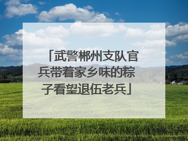 武警郴州支队官兵带着家乡味的粽子看望退伍老兵