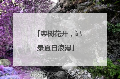 栾树花开，记录夏日浪漫