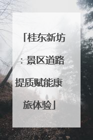 桂东新坊：景区道路提质赋能康旅体验