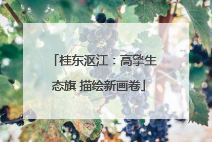桂东沤江：高擎生态旗 描绘新画卷
