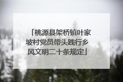 桃源县架桥镇叶家坡村党员带头践行乡风文明二十条规定